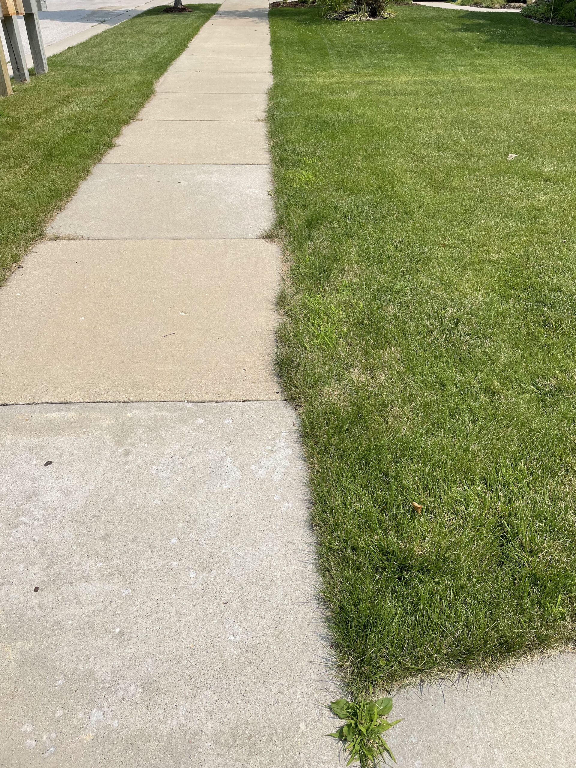 Before and After Sidewalk Edging 1 WoodChucker's Mulch
